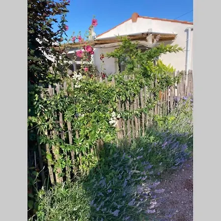 Maisonnette Au Centre Du Port De La Cotiniere בית נופש